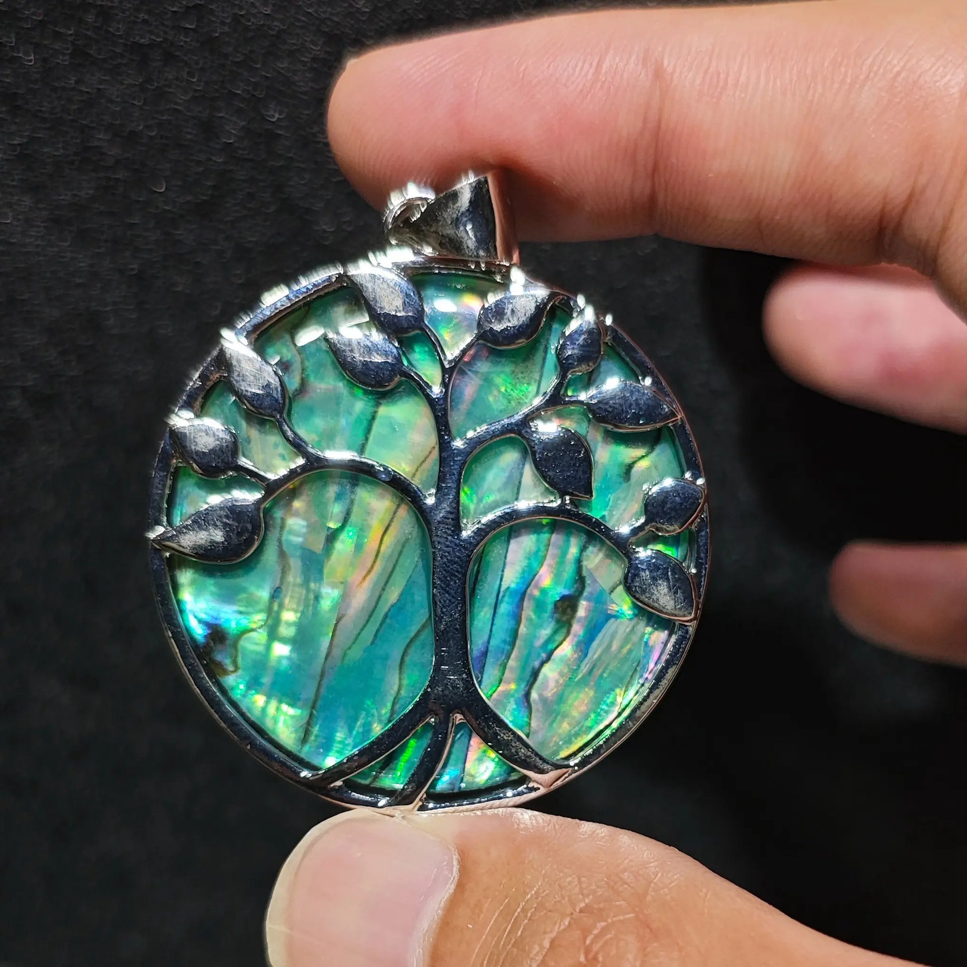 Large 5cm Tree of Life abalone shell medallion displayed on fingers against dark background for accurate size reference