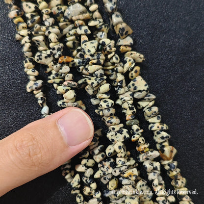 Close up hand holding natural darmatian stone chips displaying organic polished surfaces and drill holes[cite: 8]