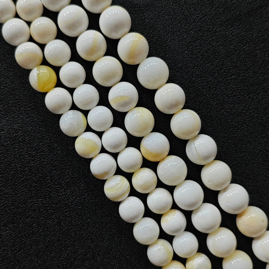 Natural Yellow Striped Shell Beads 4mm-14mm Marine Strand