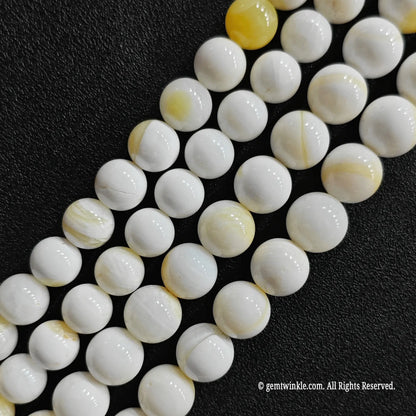 Natural Yellow Striped Shell Beads 4mm-14mm Marine Strand