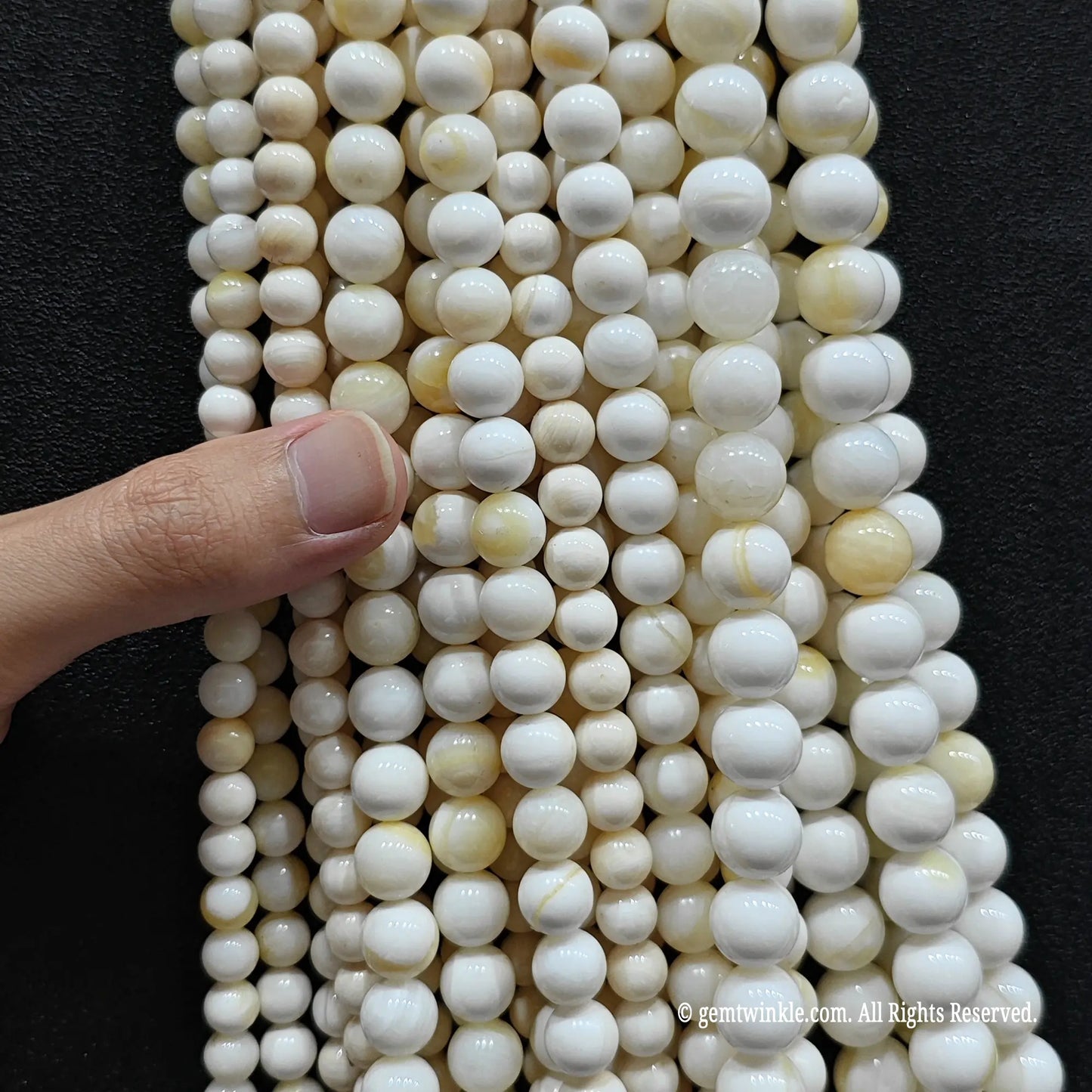 Natural Yellow Striped Shell Beads 4mm-14mm Marine Strand