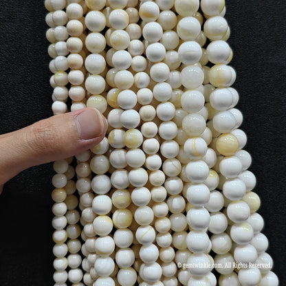 Natural Yellow Striped Shell Beads 4mm-14mm Marine Strand