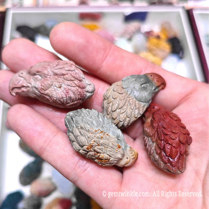 Sculpted Raptor Head Mini Figurines Assorted Colors