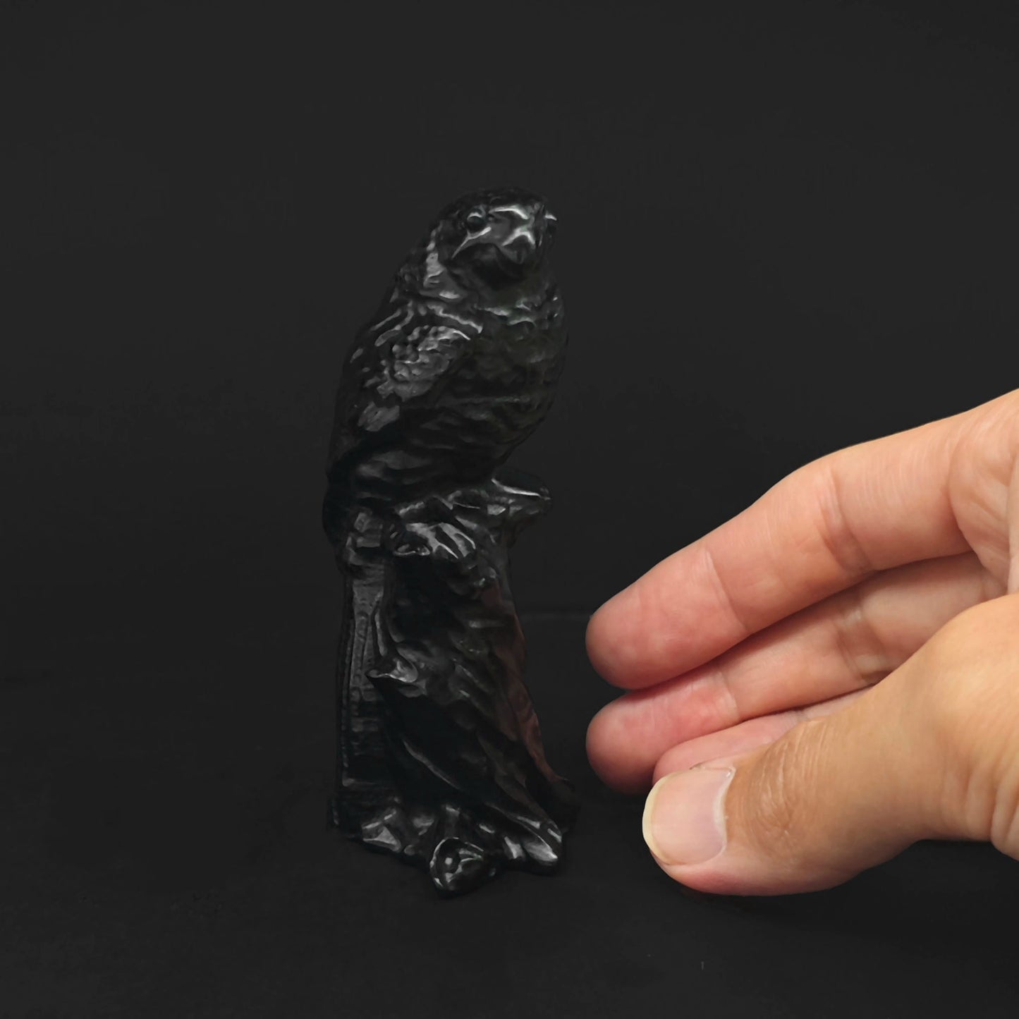 Side view of a 10cm sleek and glossy black obsidian parrot statue perched on a tree stump for home decor