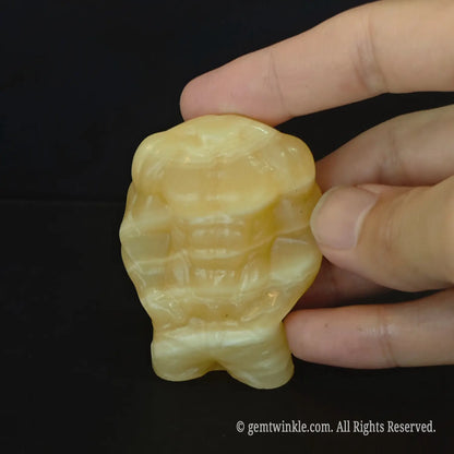 calcite-muscle-man
