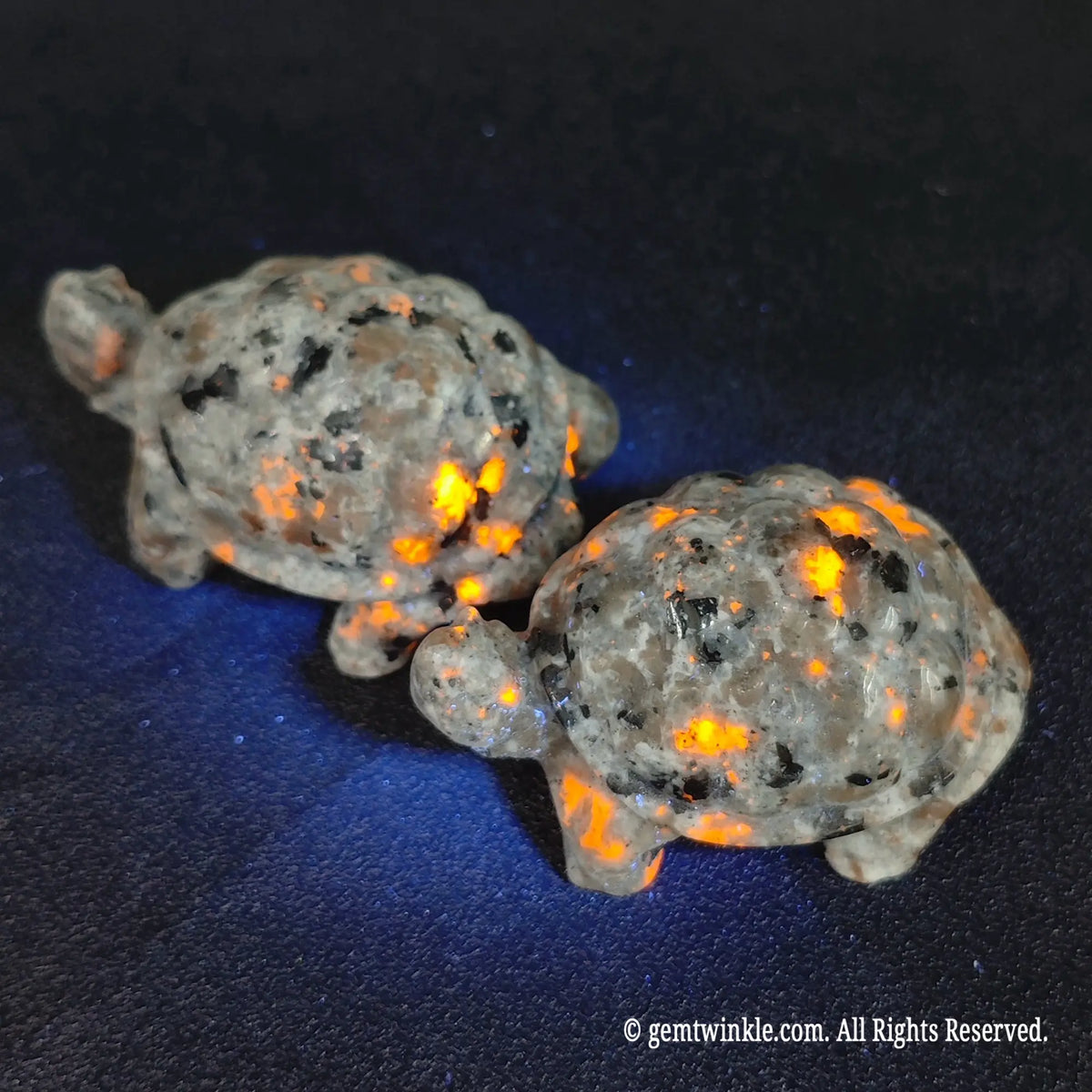 Two yooperlite turtle carvings glowing with fiery orange sodalite ember spots under 365nm UV blacklight