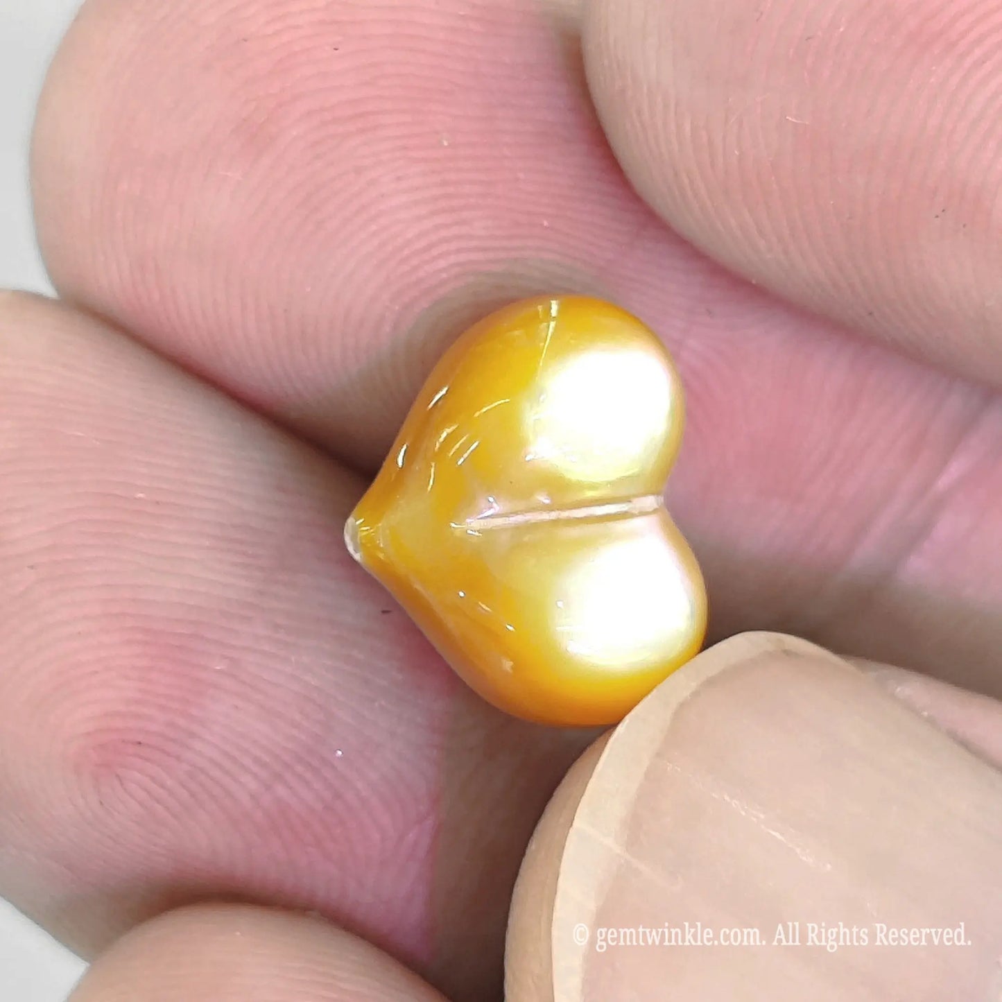 Golden lip shell heart focal bead side profile showing smooth 3d puffy contours and natural shell thickness
