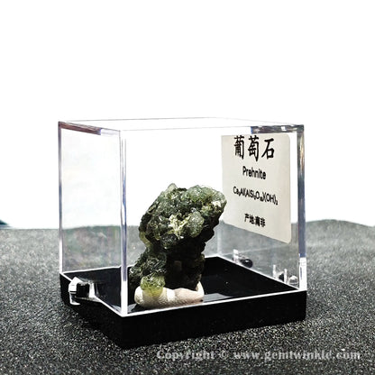 Angled left perspective showing clear acrylic housing and raw green prehnite crystal cluster