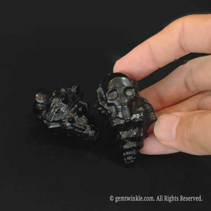 Handheld obsidian conch skull carving highlighting its 5cm compact size and organic detail