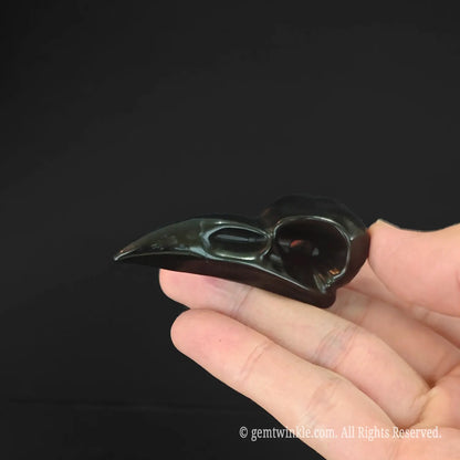 Handheld obsidian raven skull carving highlighting
