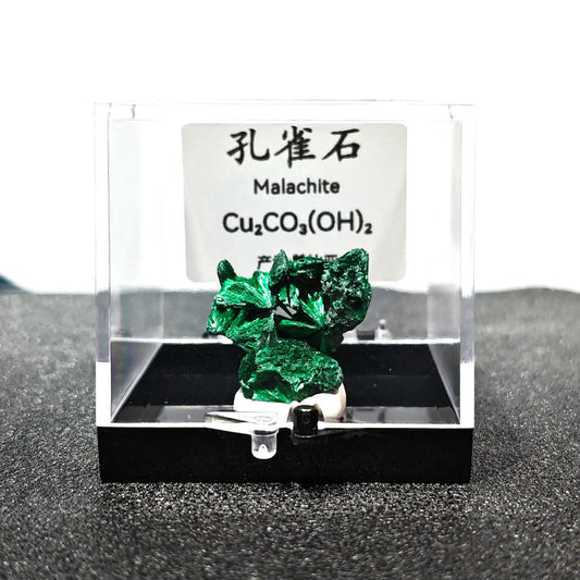 Natural raw green malachite mineral specimen mounted in 9cm clear acrylic display box with ID label