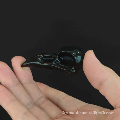 Natural obsidian raven skull carving shown from image_374044.jpg with high-polish black finish