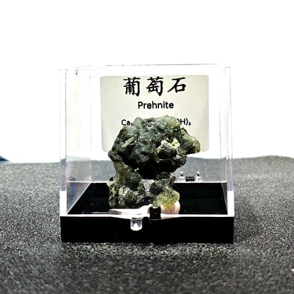 Natural green botryoidal prehnite mineral specimen mounted in 9cm clear acrylic display box with label