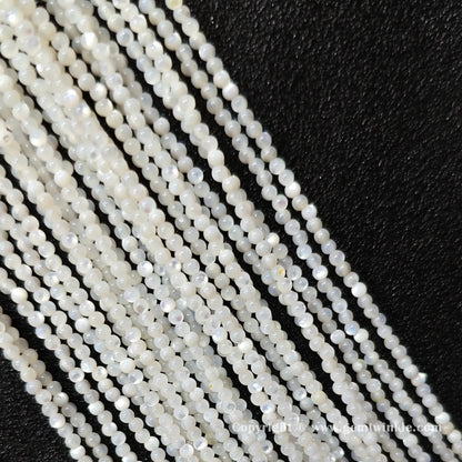 Close up detail of small white shell seed strands showing delicate nacre shine