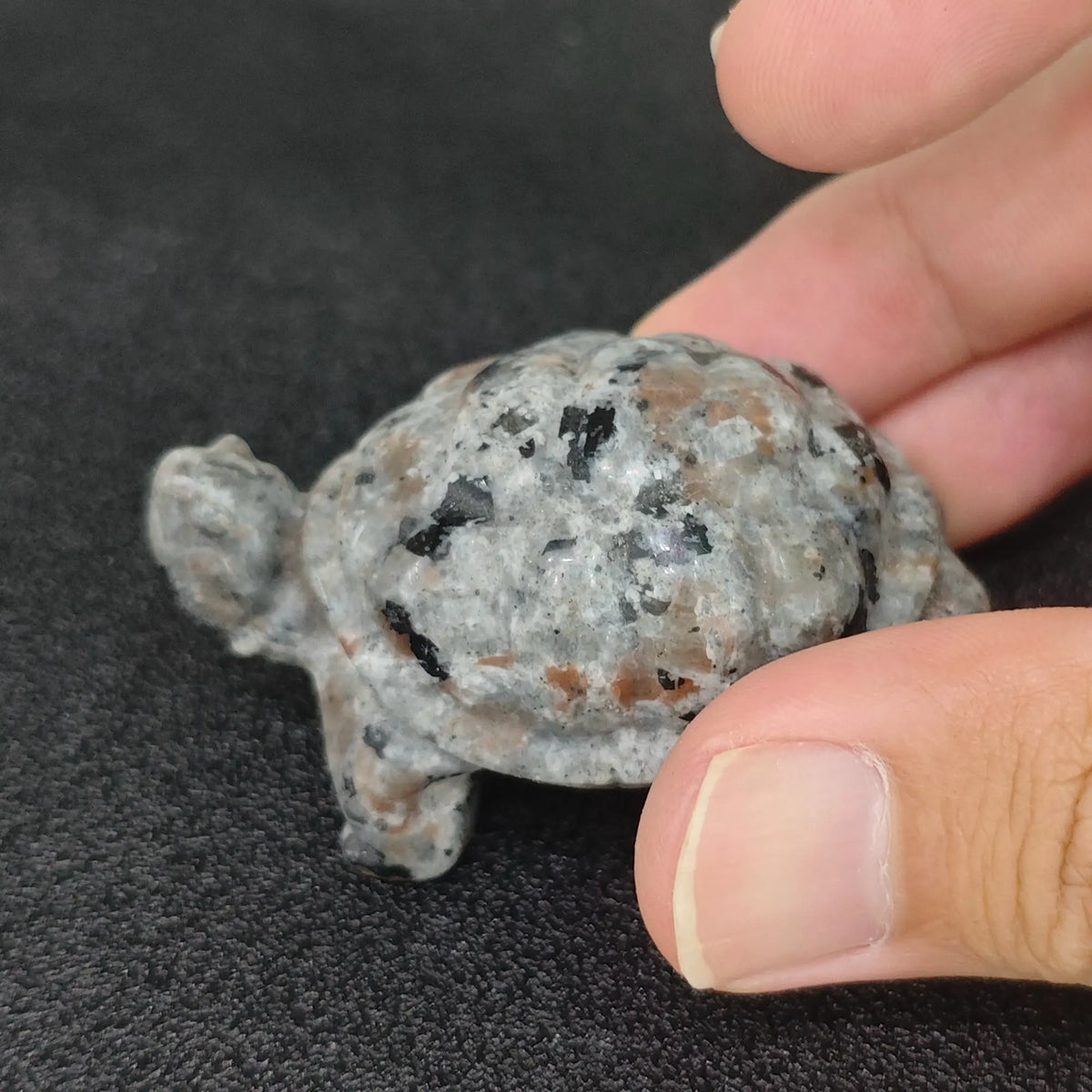 Hand holding a 5cm natural yooperlite turtle carving displaying natural grey syenite rock texture in ambient daylight