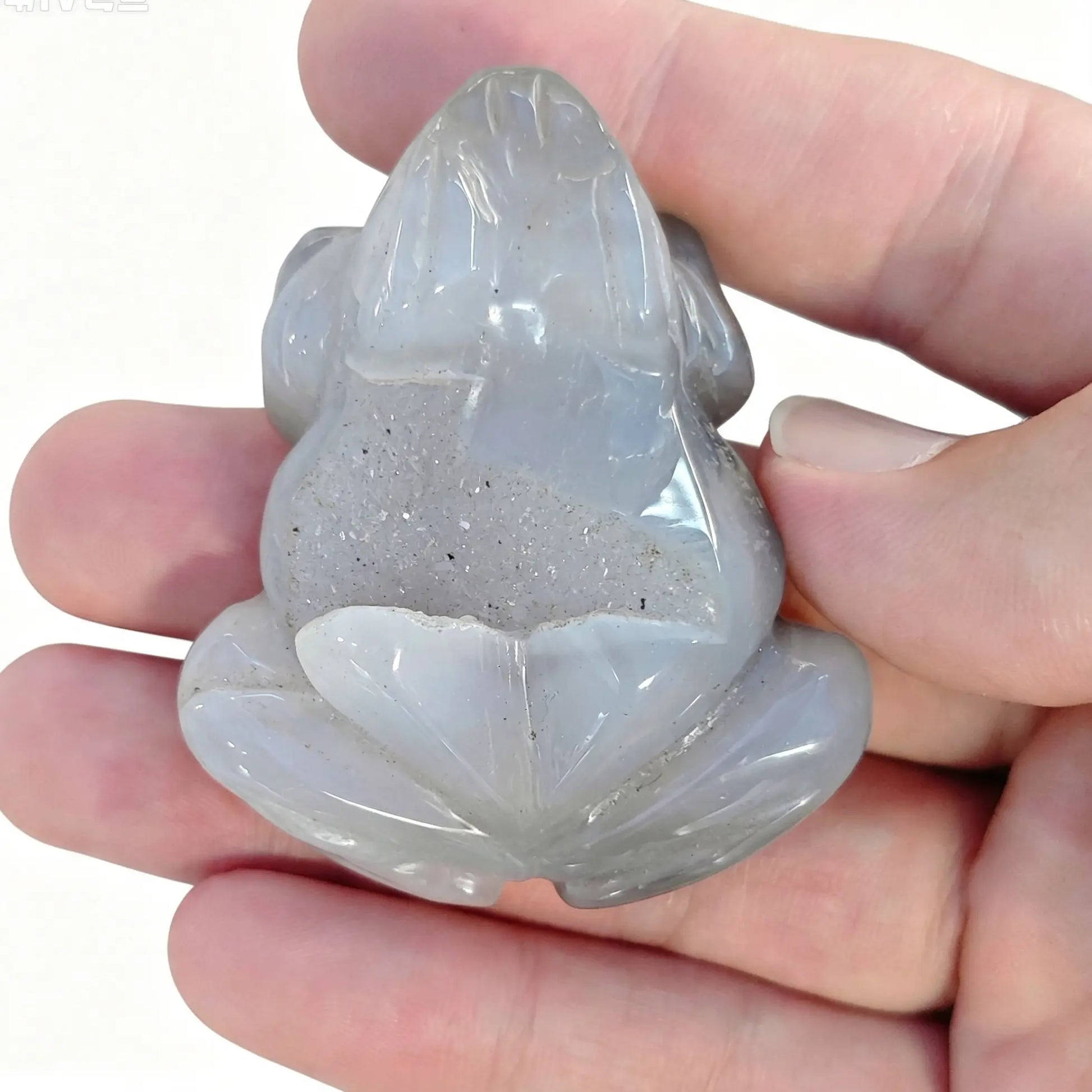Natural agate geode frog statue showing broad raw crystal druzy cavity on back held in hand