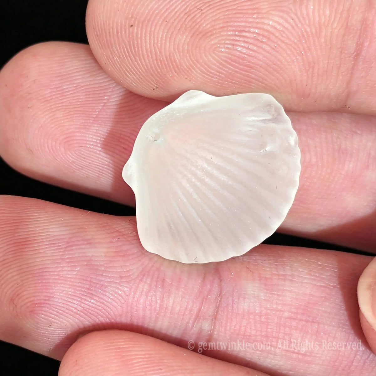 small sea shell carved crystal bead in palm view