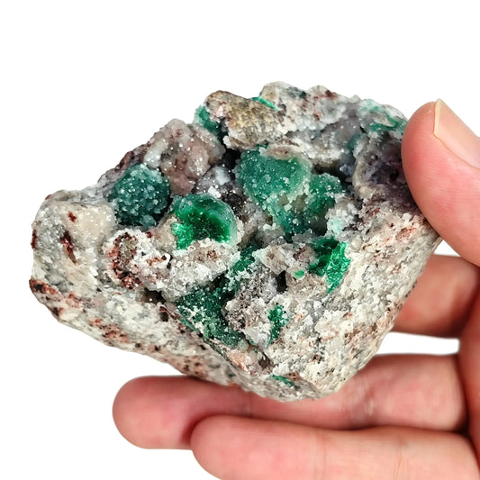 natural malachite druzy cluster showing vibrant green crystal formations nestled in raw matrix rock