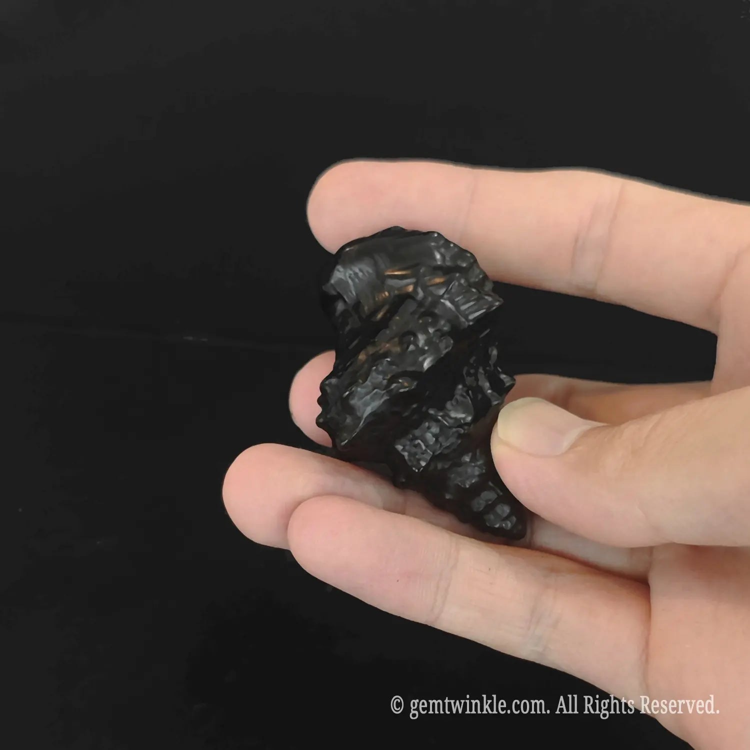 Side profile of obsidian conch skull carving showing intricate spiraling detail and reflective black surface