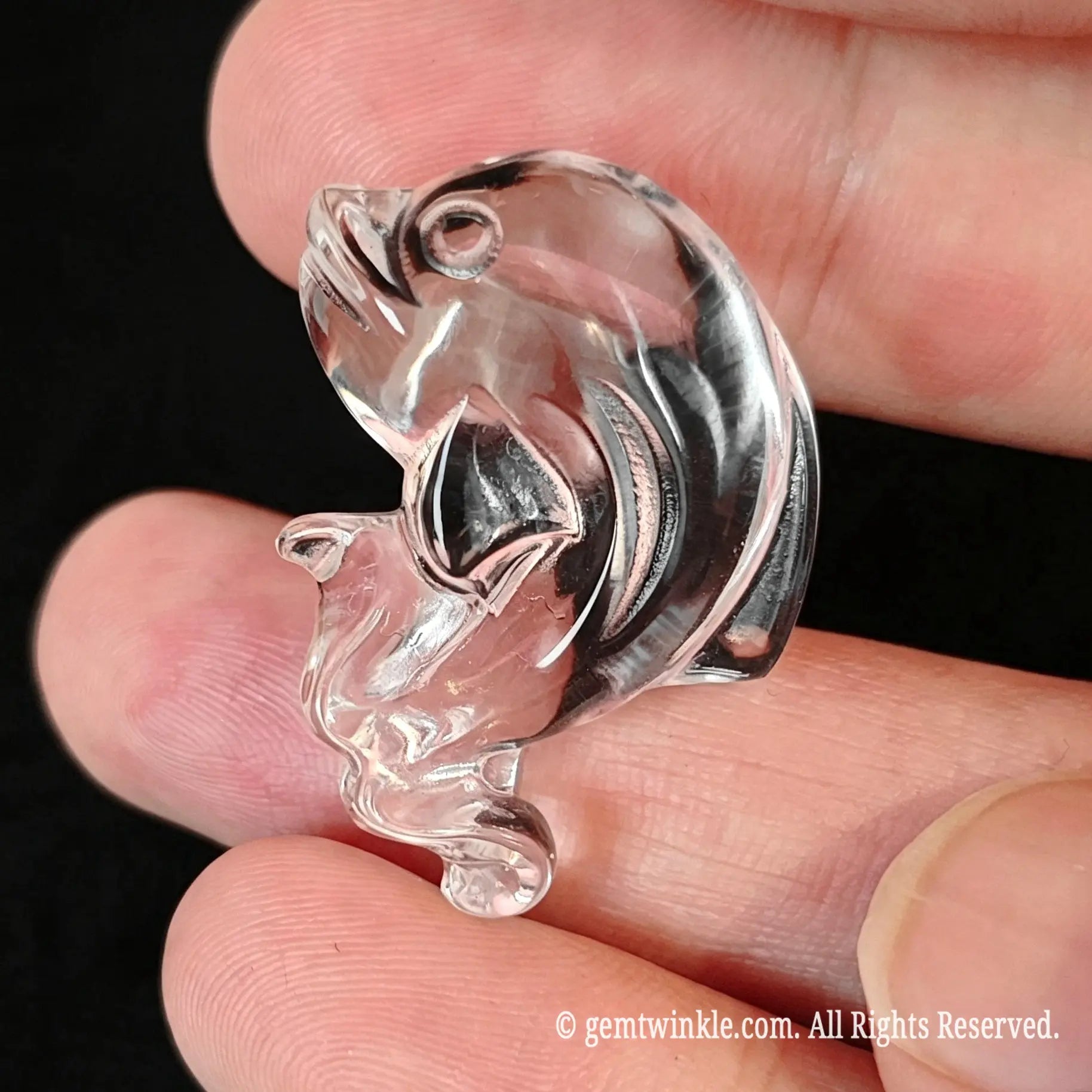 Top view of clear quartz dolphin showing glass-like transparency and carved tail details