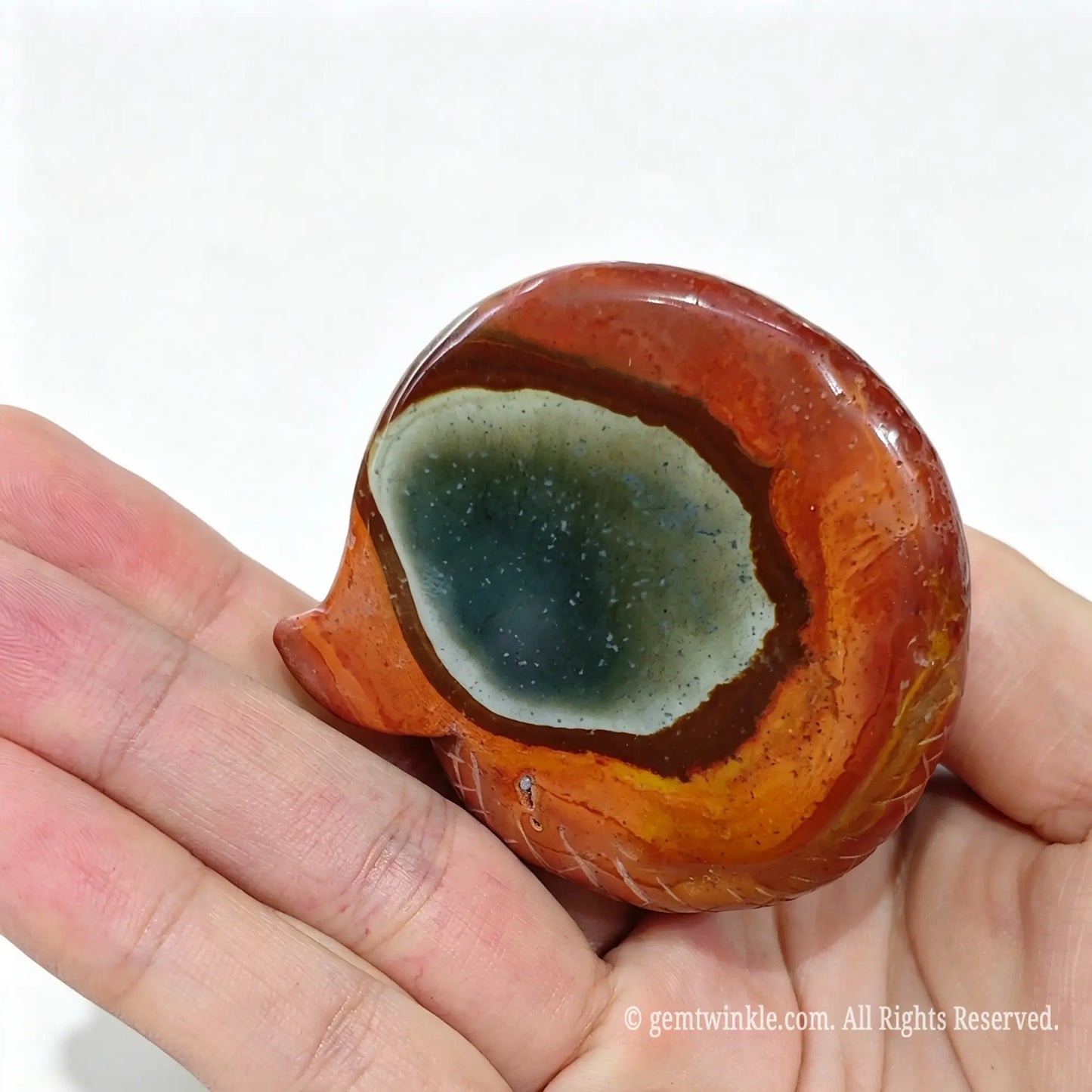 Bottom view of ocean jasper cobra figurine held in hand showcasing concentric circle color bands