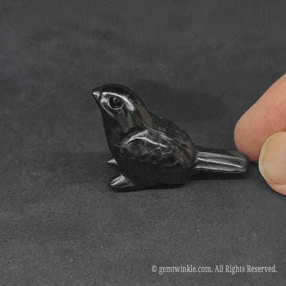 Side view of a protective black obsidian chubby bird carving standing on a dark background showing its smooth polished glossy texture