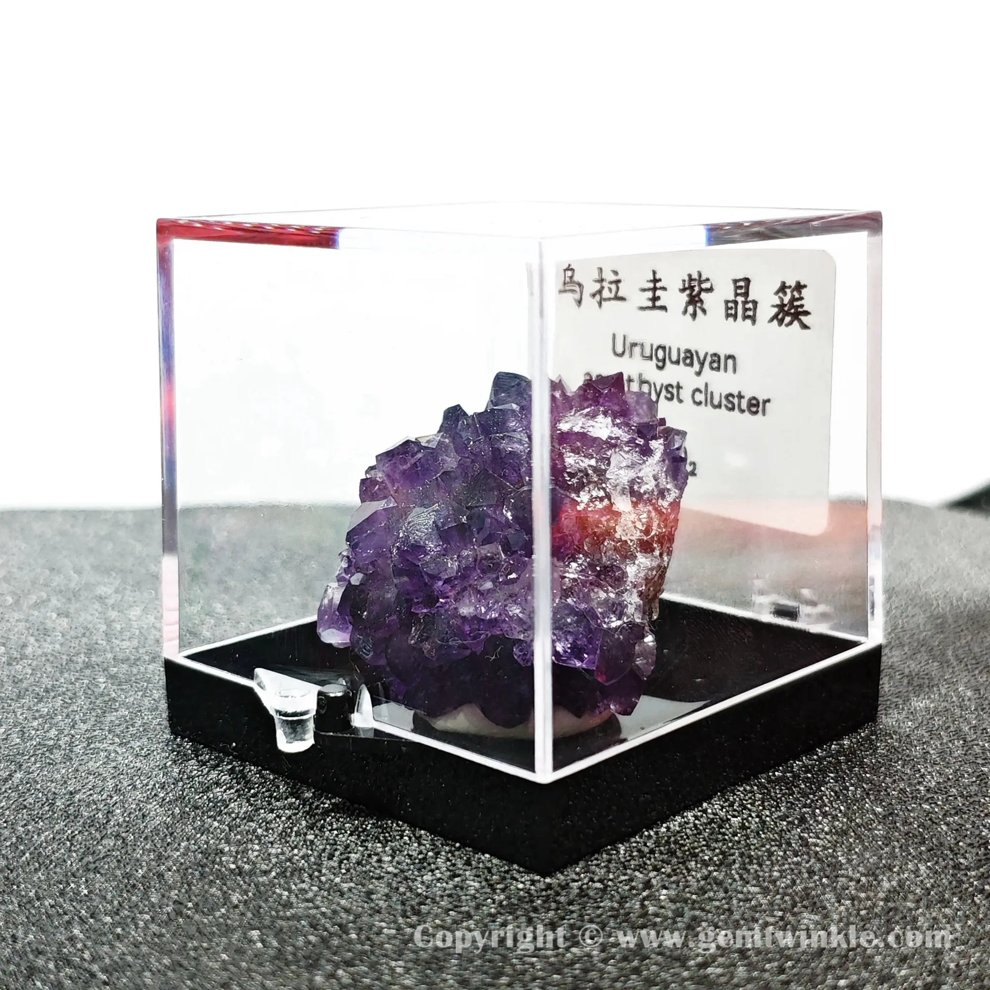 Angled left perspective showing transparent acrylic housing and dense purple quartz crystal terminations