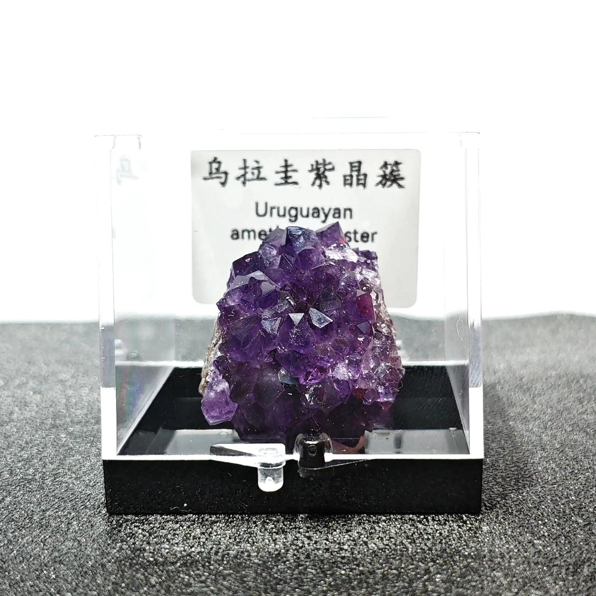 Natural deep purple Uruguayan amethyst crystal cluster mounted in 9cm acrylic display box with ID label